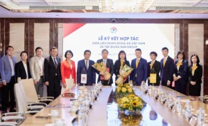 VFF cũng đang định hướng các chương trình phát triển bóng đá khác